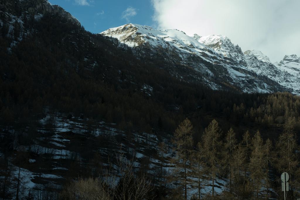 Hotel Etoile De Neige Valtournenche Exterior photo